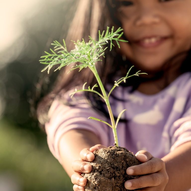 Child holding a young plant, smiling, with sunlight in the background.